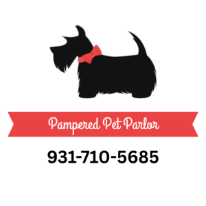 Pampered Pet Parlor