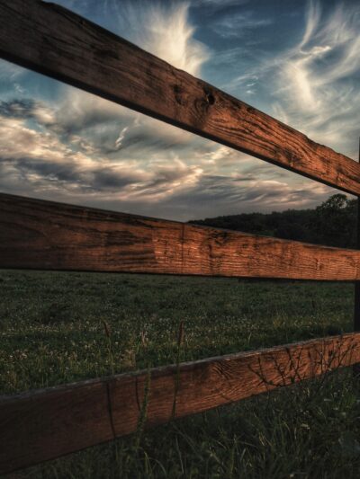 Fence