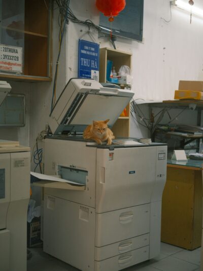 Copying & Duplicating Service