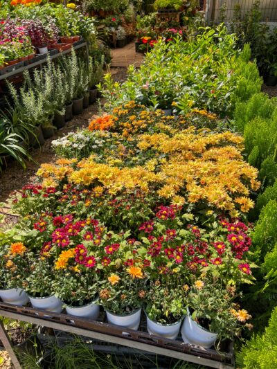 Garden Centers