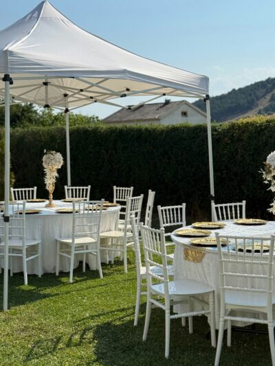 Party Supplies-Renting