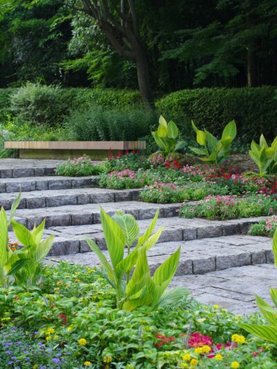 Landscape Design & Service