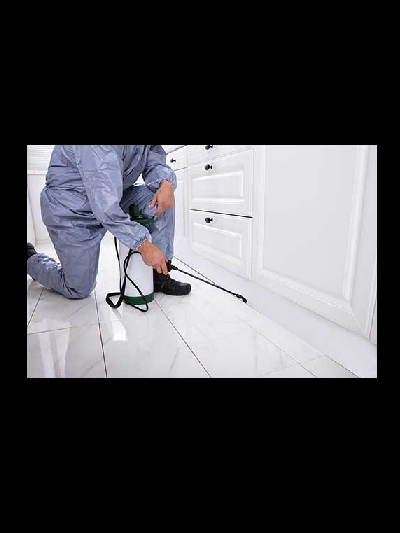 Pest Control Services