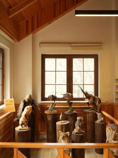 Taxidermists