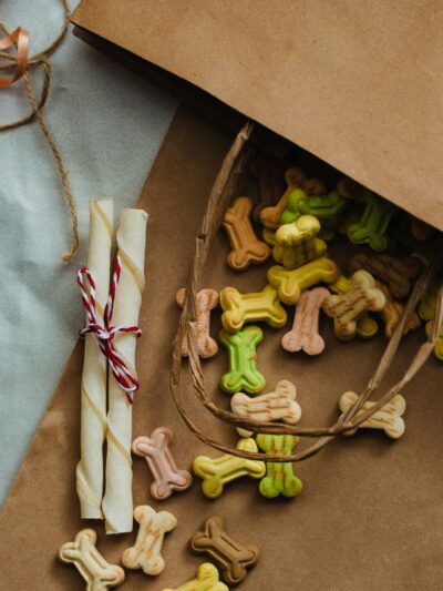Pet Supplies & Food - Retail